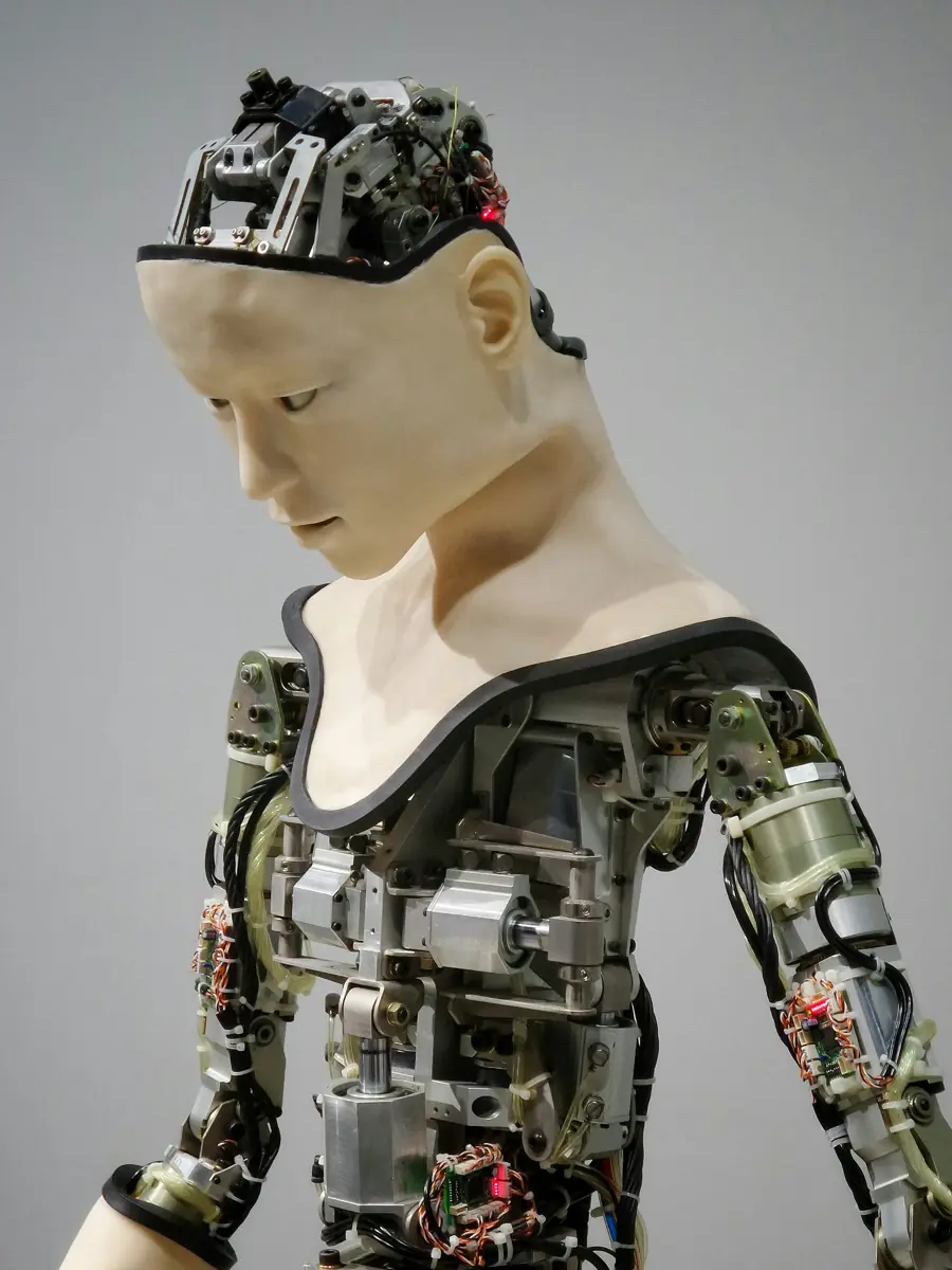 Humanoid robot torso with exposed actuators, wiring harnesses and head electronics